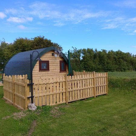 Shanagarry / Ballycotton Glamping Pod Cork Esterno foto