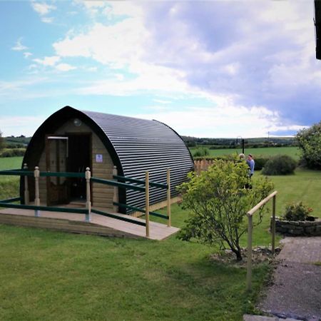 Shanagarry / Ballycotton Glamping Pod Cork Esterno foto